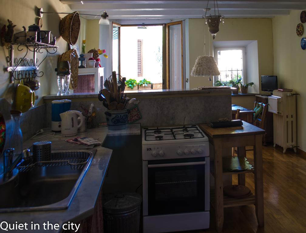 Apartments Quiet In The City フィレンツェ 部屋 写真