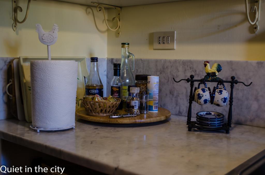 Apartments Quiet In The City フィレンツェ 部屋 写真