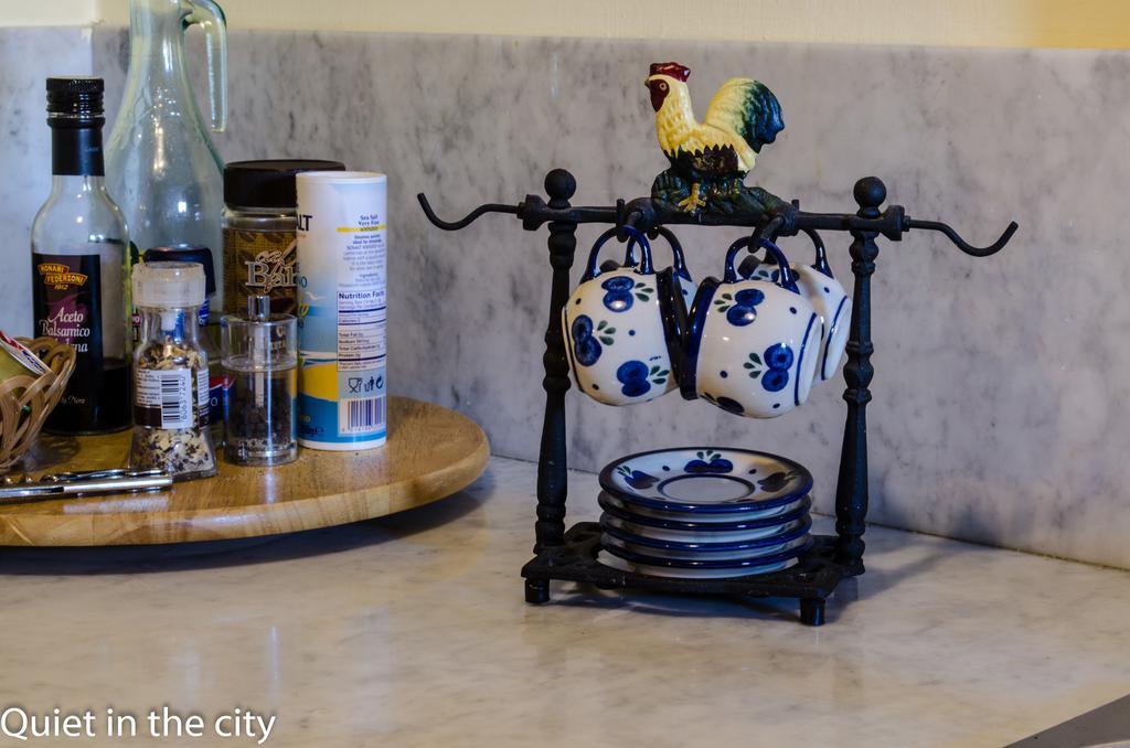 Apartments Quiet In The City フィレンツェ 部屋 写真